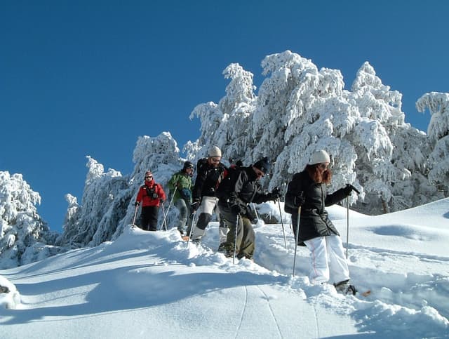 Actividad con raquetas de nieve: Montañas y Salud 